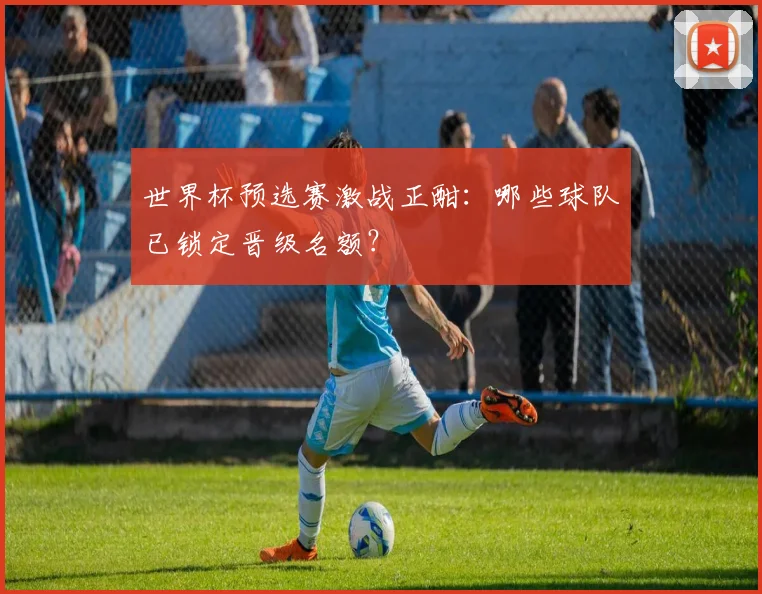 世界杯预选赛激战正酣：哪些球队已锁定晋级名额？