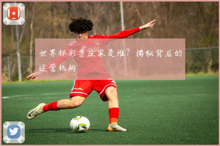 世界杯彩票庄家是谁？揭秘背后的运营机构
