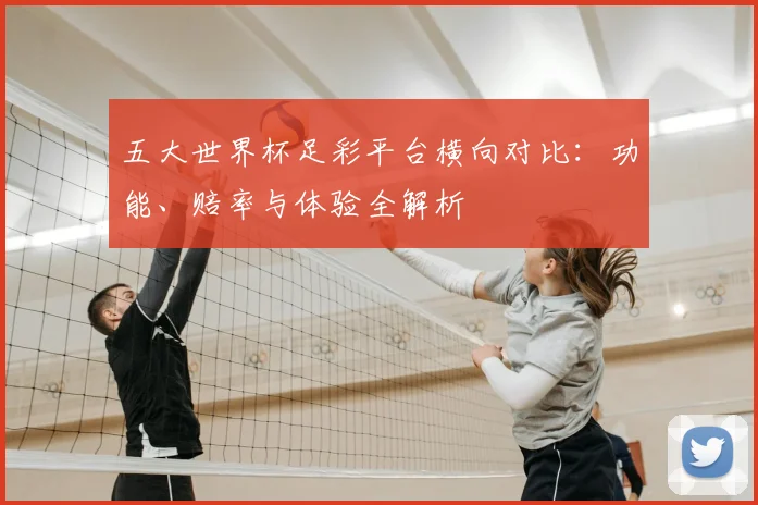 五大世界杯足彩平台横向对比：功能、赔率与体验全解析